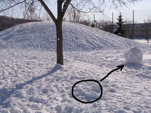 f:id:elmikamino:20100221224625j:image