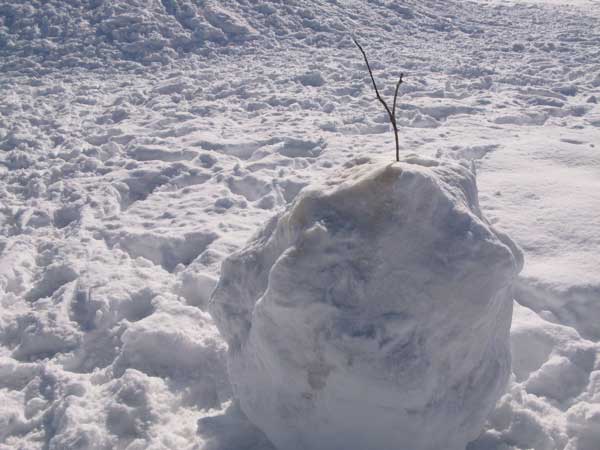 f:id:elmikamino:20100221224626j:image