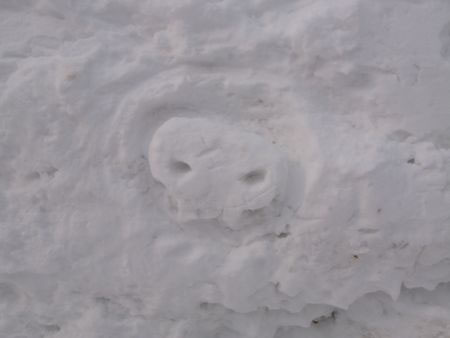 f:id:elmikamino:20100222101403j:image