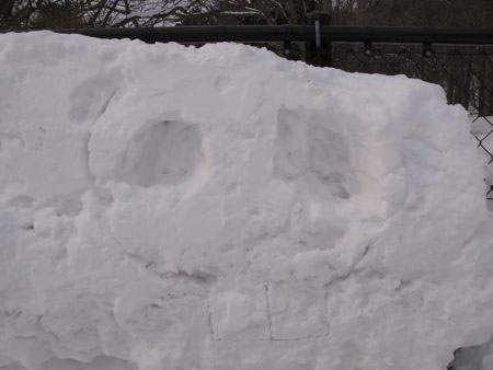 f:id:elmikamino:20100222101408j:image