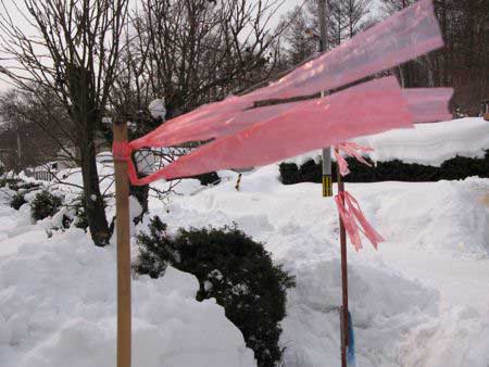 f:id:elmikamino:20100222101650j:image
