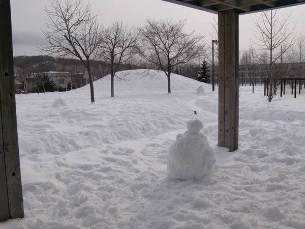 f:id:elmikamino:20100222102721j:image
