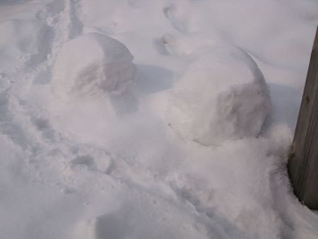 f:id:elmikamino:20100222102747j:image