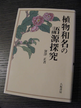 f:id:elmikamino:20100227131649j:image