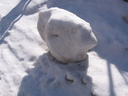 f:id:elmikamino:20100302093850j:image