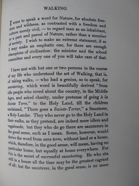 f:id:elmikamino:20100303160415j:image