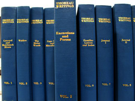 f:id:elmikamino:20100303164424j:image