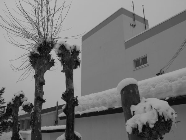 f:id:elmikamino:20100305100628j:image