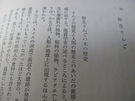 f:id:elmikamino:20100307022008j:image