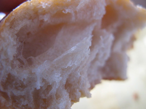 f:id:elmikamino:20100312101046j:image f:id:elmikamino:20100312101046j:image