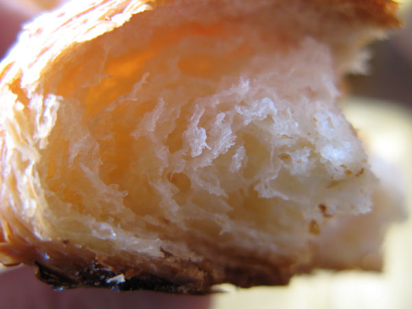 f:id:elmikamino:20100312101050j:image f:id:elmikamino:20100312101050j:image