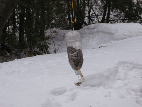 f:id:elmikamino:20100312101055j:image f:id:elmikamino:20100312101055j:image