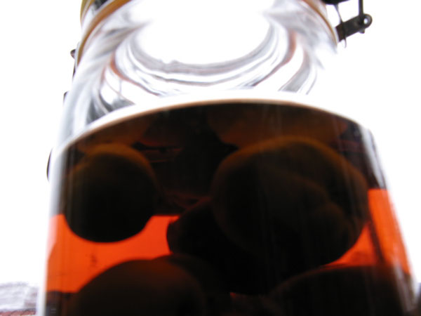 f:id:elmikamino:20100312110042j:image f:id:elmikamino:20100312110042j:image