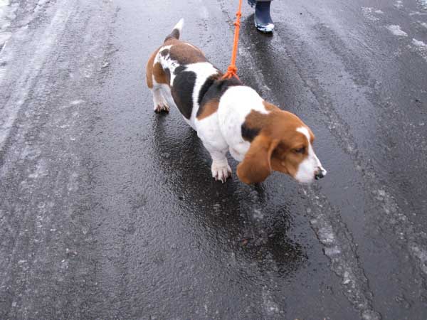 f:id:elmikamino:20100317110213j:image f:id:elmikamino:20100317110213j:image