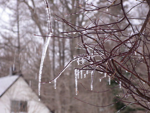 f:id:elmikamino:20100317110215j:image f:id:elmikamino:20100317110215j:image