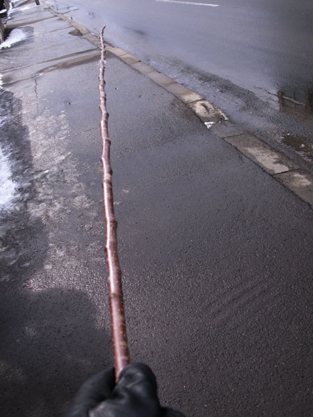 f:id:elmikamino:20100317110217j:image f:id:elmikamino:20100317110217j:image