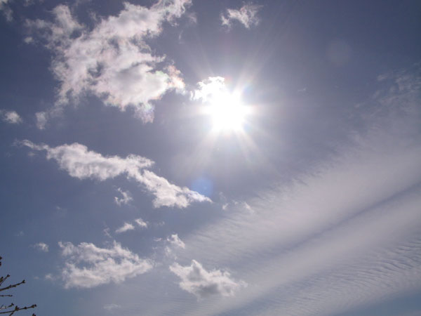 f:id:elmikamino:20100319104849j:image