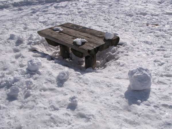 f:id:elmikamino:20100319104850j:image