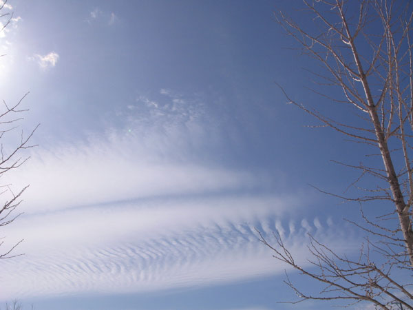 f:id:elmikamino:20100319104852j:image