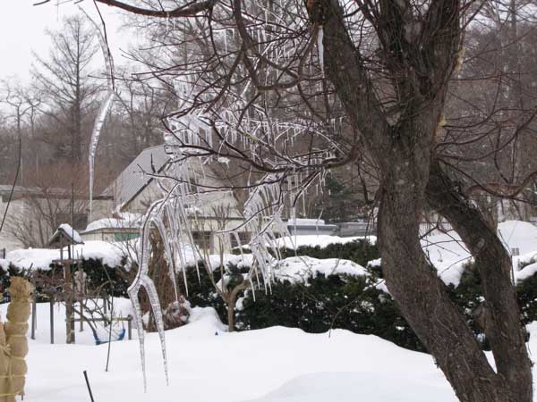 f:id:elmikamino:20100323110928j:image