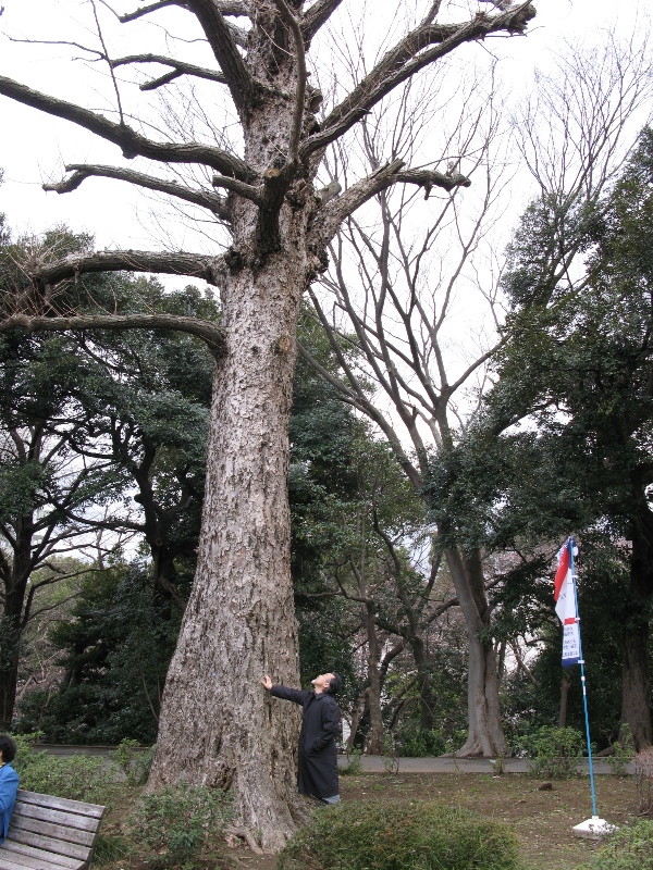 f:id:elmikamino:20100326152645j:image