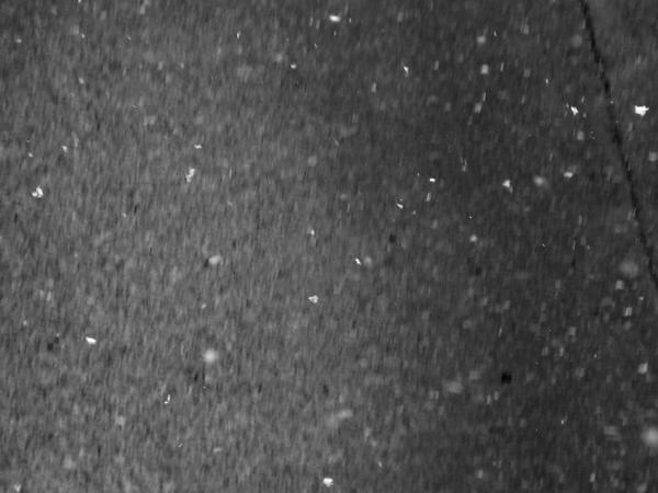 f:id:elmikamino:20100403093236j:image