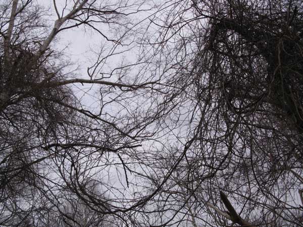 f:id:elmikamino:20100410123157j:image f:id:elmikamino:20100410123157j:image