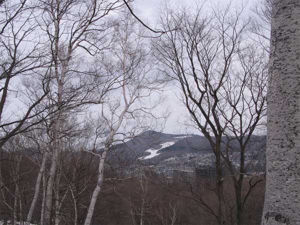 f:id:elmikamino:20100410123200j:image f:id:elmikamino:20100410123200j:image