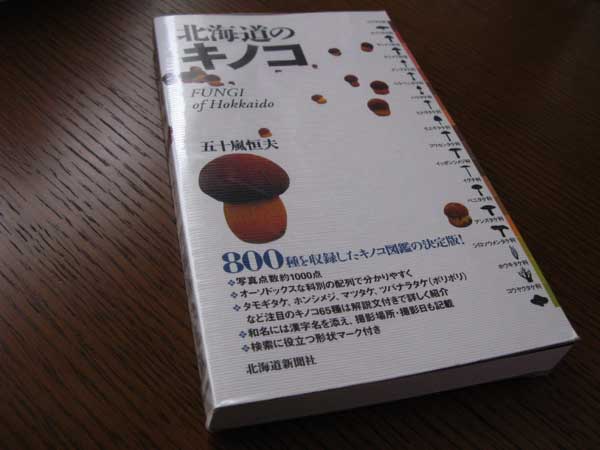 f:id:elmikamino:20100410134416j:image f:id:elmikamino:20100410134416j:image