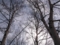20100411130242