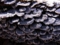 20100411130247