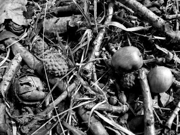 f:id:elmikamino:20100412183911j:image f:id:elmikamino:20100412183911j:image