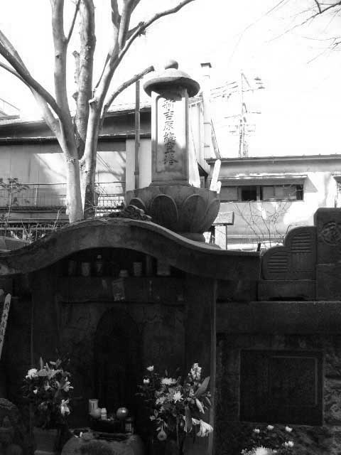 f:id:elmikamino:20100415230055j:image