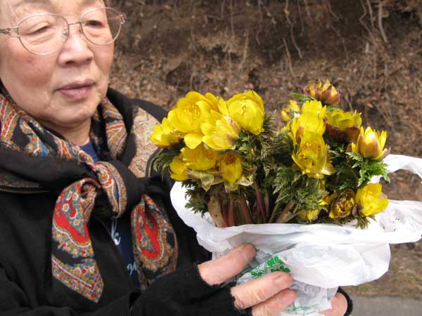 f:id:elmikamino:20100418112942j:image