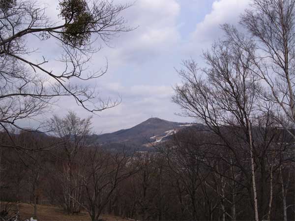 f:id:elmikamino:20100418123254j:image