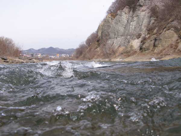 f:id:elmikamino:20100419113527j:image