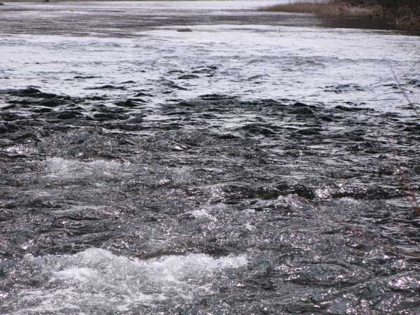 f:id:elmikamino:20100419113529j:image
