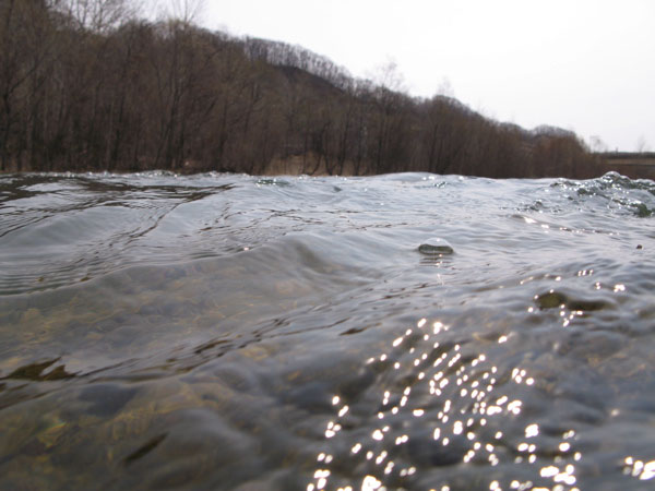 f:id:elmikamino:20100419113539j:image