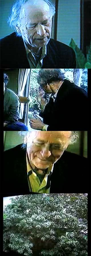 f:id:elmikamino:20100422204128j:image f:id:elmikamino:20100422204128j:image