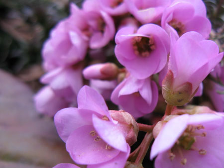 f:id:elmikamino:20100425180522j:image f:id:elmikamino:20100425180522j:image