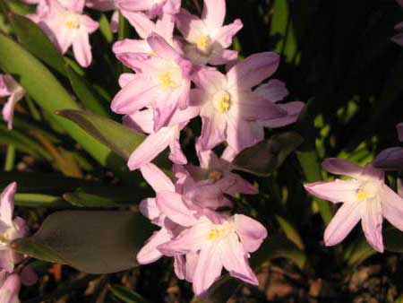 f:id:elmikamino:20100425180528j:image f:id:elmikamino:20100425180528j:image