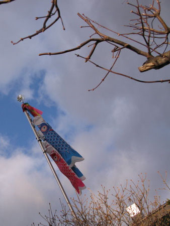 f:id:elmikamino:20100425180529j:image f:id:elmikamino:20100425180529j:image