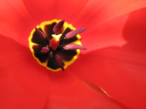 f:id:elmikamino:20100502113109j:image f:id:elmikamino:20100502113109j:image