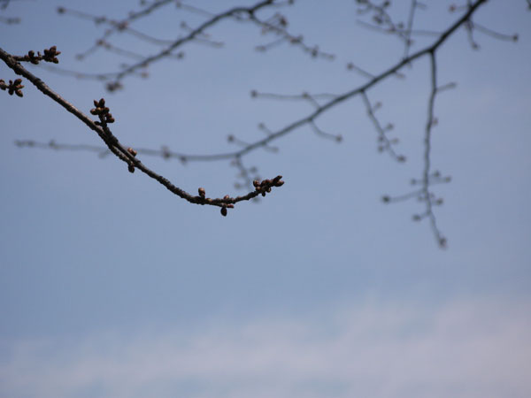 f:id:elmikamino:20100502113110j:image f:id:elmikamino:20100502113110j:image