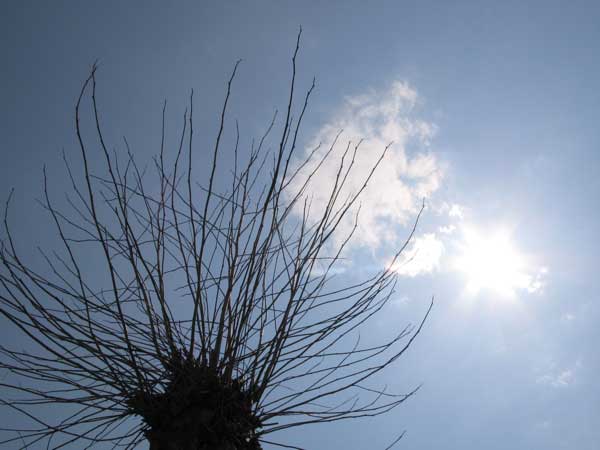 f:id:elmikamino:20100502113112j:image f:id:elmikamino:20100502113112j:image