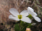 20100504105930