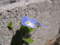 20100504105935