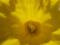 20100504105936