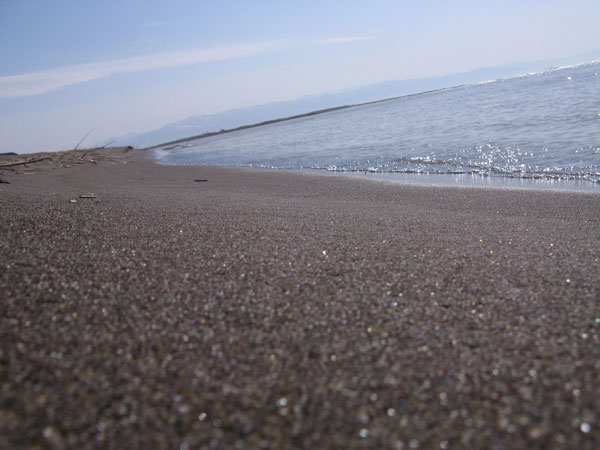 f:id:elmikamino:20100504193445j:image