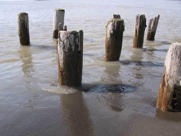 f:id:elmikamino:20100504193449j:image